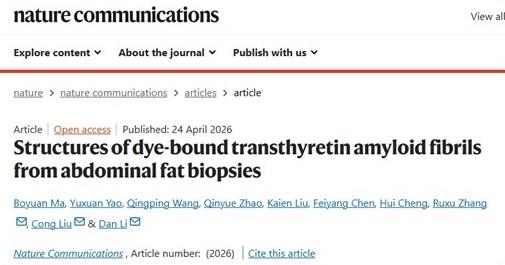 上海交大Bio-X研究院李丹团队揭示患者来源TTR病理聚集体结构及其小分子探针识别机制