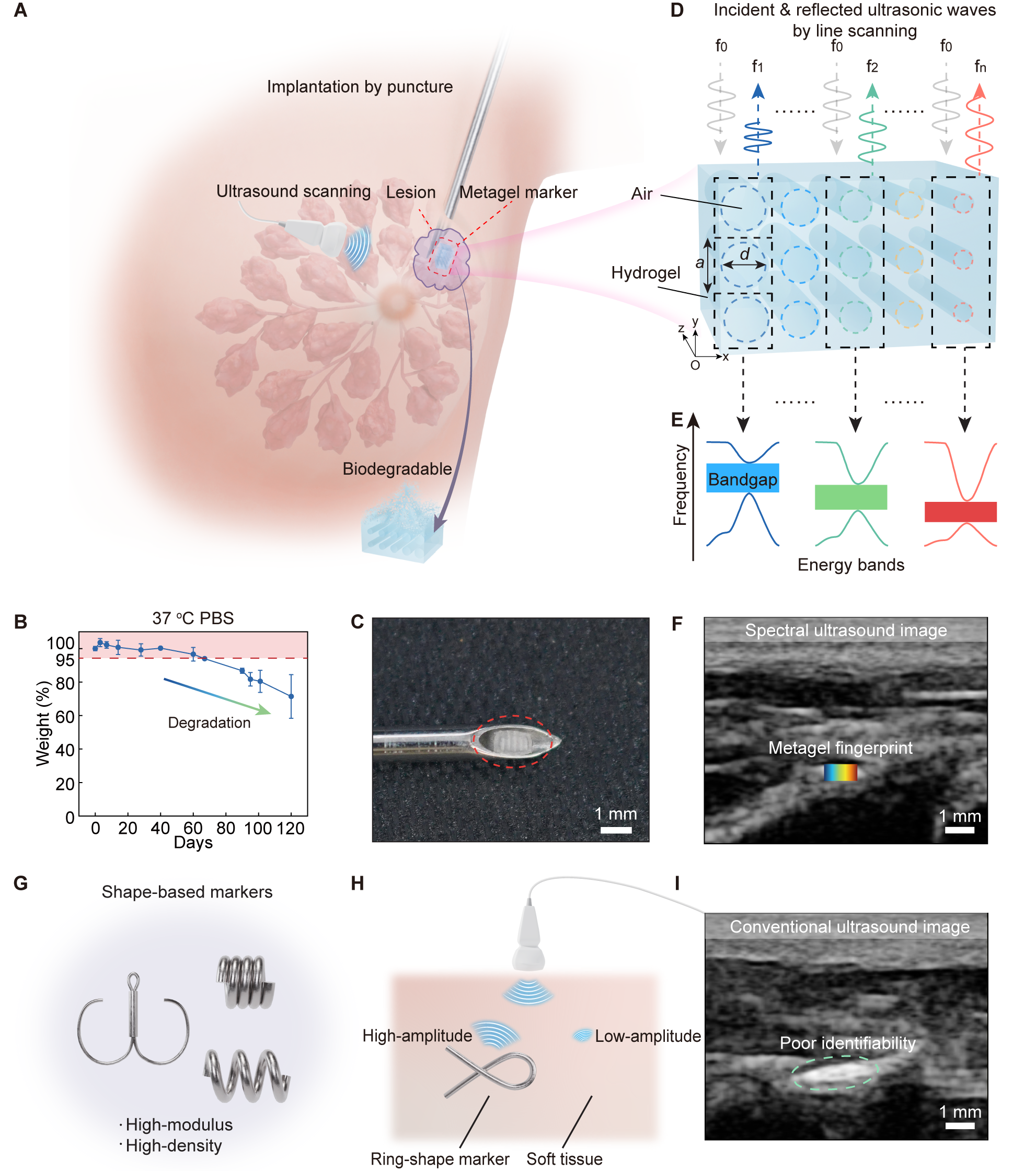 华中科技大学集成电路学院臧剑锋唐瀚川团队取得超凝胶传感器最新成果