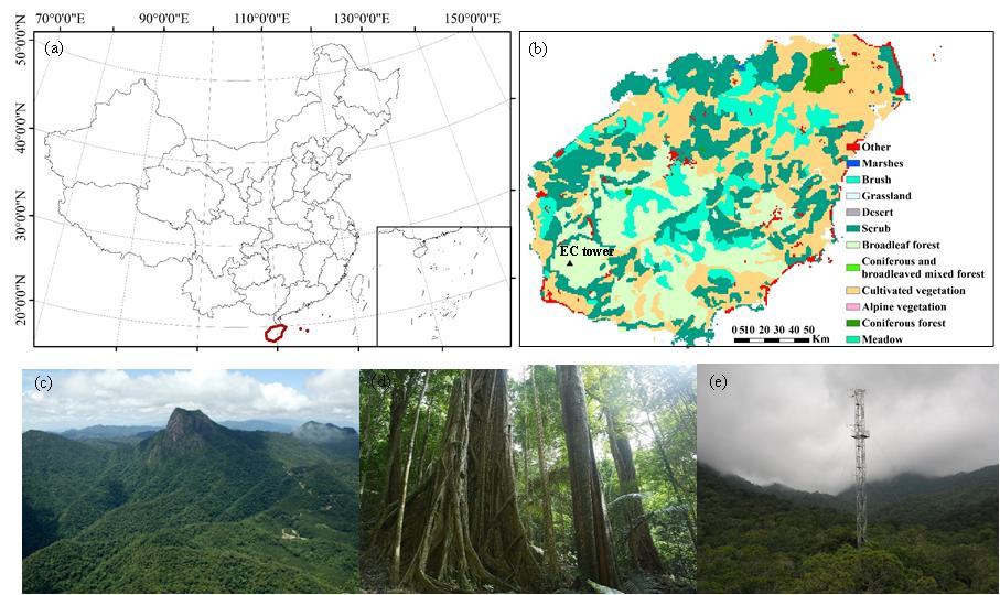 热林所在揭示热带山地雨林碳交换对气候变化的 响应研究方面取得进展