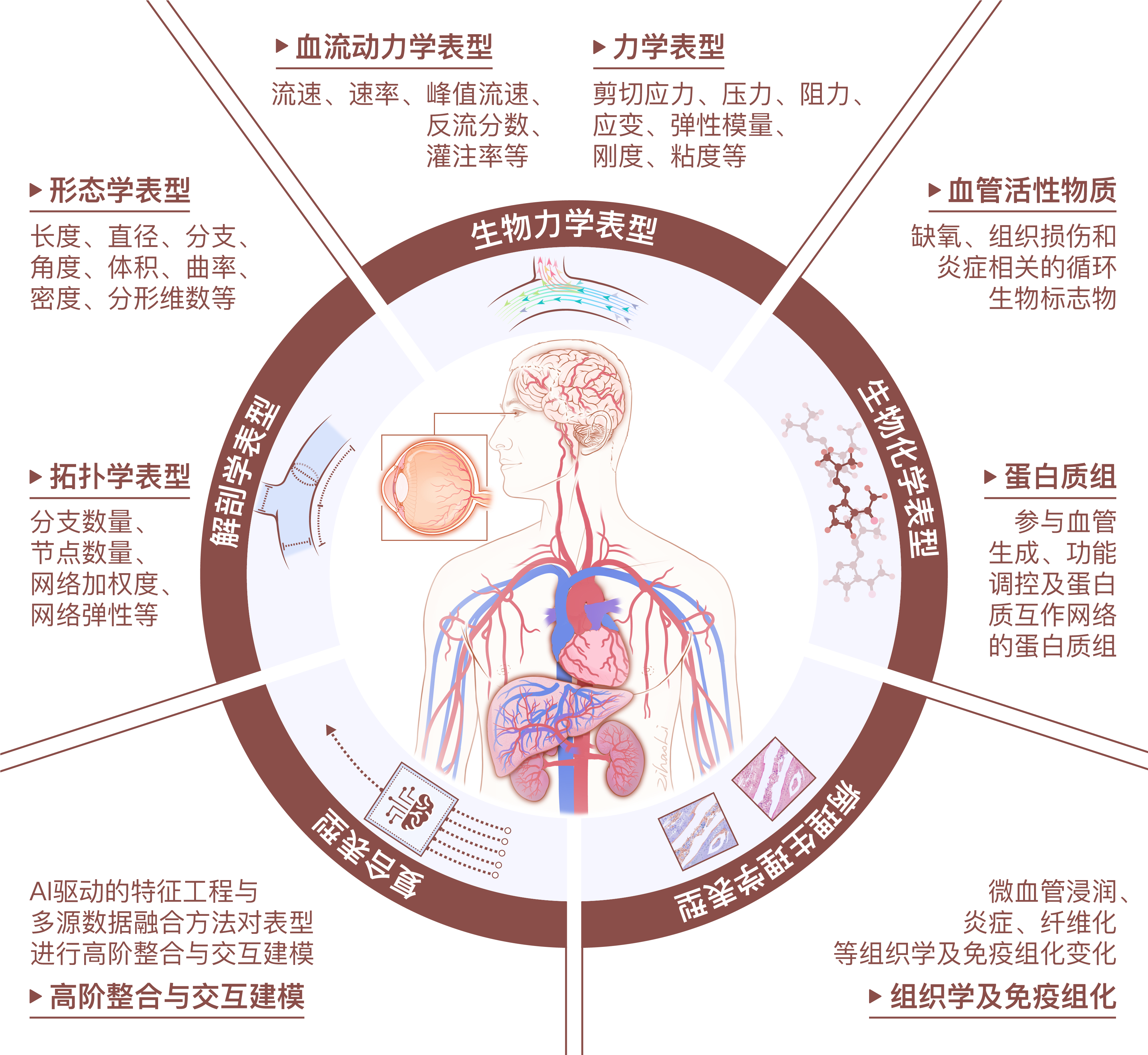 东南大学祁小龙团队在《中华医学杂志》发表重要成果