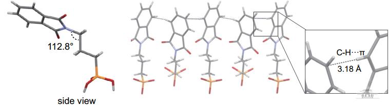 武汉大学王植平团队提出“分子刹车”策略提升钙钛矿太阳能电池性能