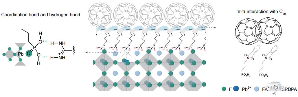 武汉大学王植平团队提出“分子刹车”策略提升钙钛矿太阳能电池性能