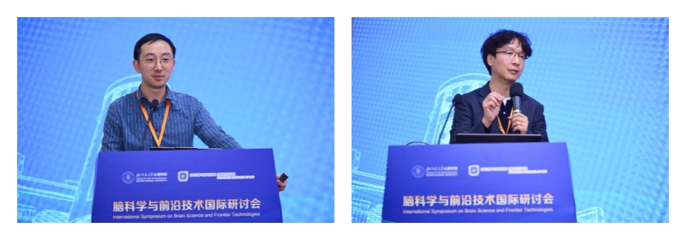 2026年脑科学与前沿技术国际研讨会在北京师范大学举办