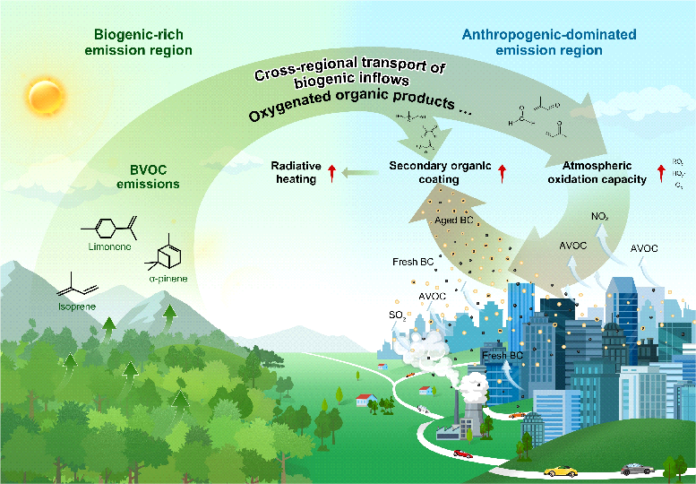 东南大学盖鑫磊团队在《自然·地球科学》刊发研究成果