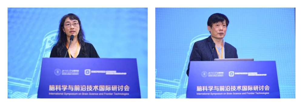 2026年脑科学与前沿技术国际研讨会在北京师范大学举办