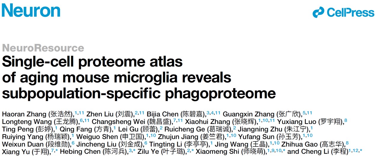 北京大学生命科学学院李程课题组与合作者共同绘制小鼠衰老小胶质细胞的单细胞蛋白质组学图谱