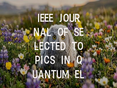 IEEE JOURNAL OF SELECTED TOPICS IN QUANTUM ELECTRO