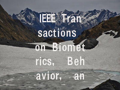 IEEE Transactions on Biometrics, Behavior, and Ide