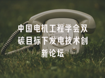 中国电机工程学会双碳目标下发电技术创新论坛