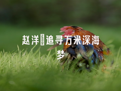 赵洋：追寻万米深海梦