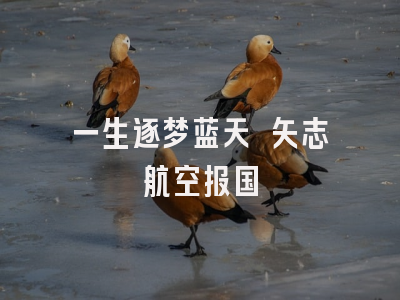 一生逐梦蓝天 矢志航空报国