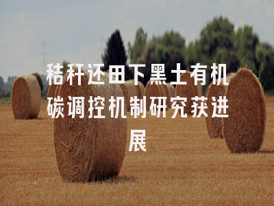 秸秆还田下黑土有机碳调控机制研究获进展