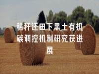 学术会议在线