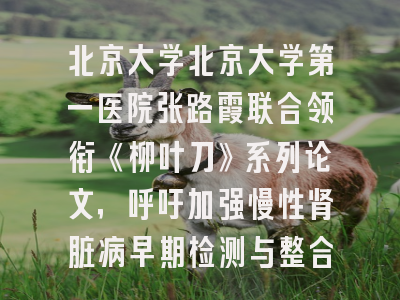 北京大学北京大学第一医院张路霞联合领衔《柳叶刀》系列论文,呼吁加强慢性肾脏病早期检测与整合防治