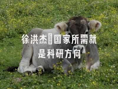 徐洪杰：国家所需就是科研方向