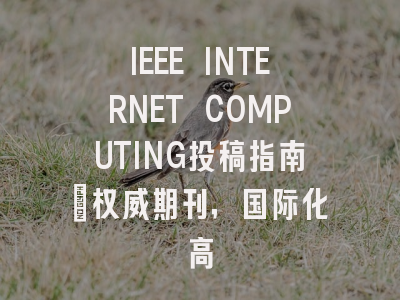 IEEE INTERNET COMPUTING投稿指南:权威期刊,国际化高
