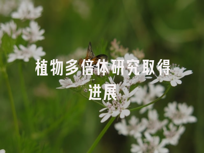植物多倍体研究取得进展