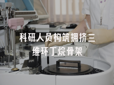 科研人员构筑拥挤三维环丁烷骨架