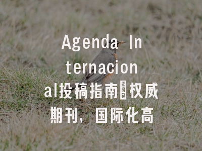 Agenda Internacional投稿指南：权威期刊，国际化高