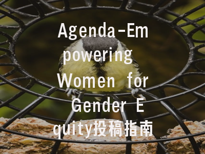 Agenda-Empowering Women for Gender Equity投稿指南:权威期刊