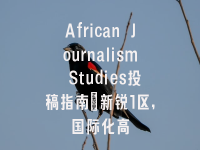 African Journalism Studies投稿指南:新锐1区,国际化高