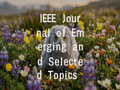 IEEE Journal of Emerging and Selected Topics in In