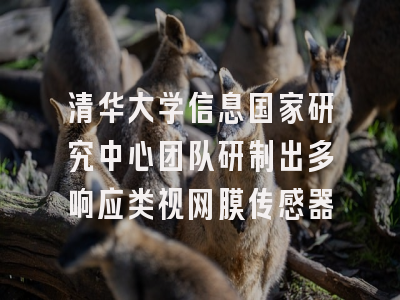 清华大学信息国家研究中心团队研制出多响应类视网膜传感器