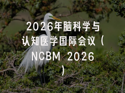 2026年脑科学与认知医学国际会议（NCBM 2026）