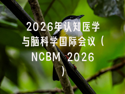 2026年认知医学与脑科学国际会议(NCBM 2026)