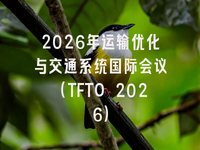 2026年运输优化与交通系统国际会议(TFTO 2026)