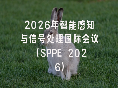 2026年智能感知与信号处理国际会议(SPPE 2026)