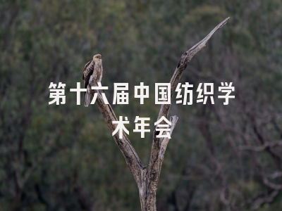 第十六届中国纺织学术年会