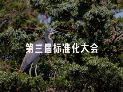 第三届标准化大会