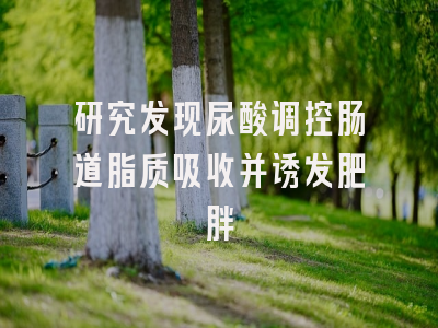 研究发现尿酸调控肠道脂质吸收并诱发肥胖