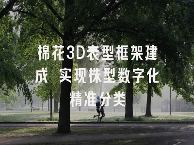 棉花3D表型框架建成 实现株型数字化精准分类