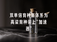 学术会议在线