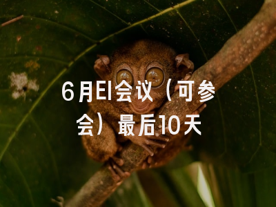 6月EI会议（可参会）最后10天