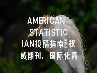 AMERICAN STATISTICIAN投稿指南:权威期刊,国际化高