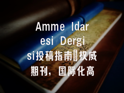 Amme Idaresi Dergisi投稿指南:权威期刊,国际化高