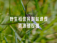 学术会议在线