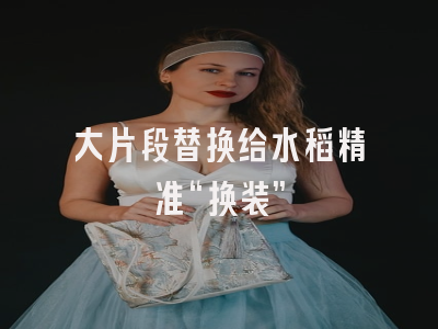 大片段替换给水稻精准“换装”