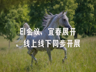 EI会议,宜春展开，线上线下同步开展