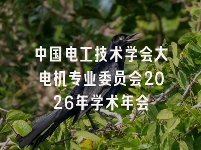 中国电工技术学会大电机专业委员会2026年学术年会