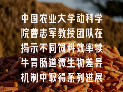 中国农业大学动科学院曹志军教授团队在揭示不同饲料效率犊牛胃肠道微生物差异机制中取得系列进展