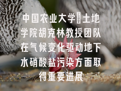 中国农业大学丨土地学院胡克林教授团队在气候变化驱动地下水硝酸盐污染方面取得重要进展