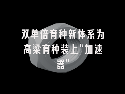 双单倍育种新体系为高粱育种装上“加速器”