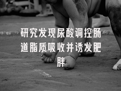 研究发现尿酸调控肠道脂质吸收并诱发肥胖