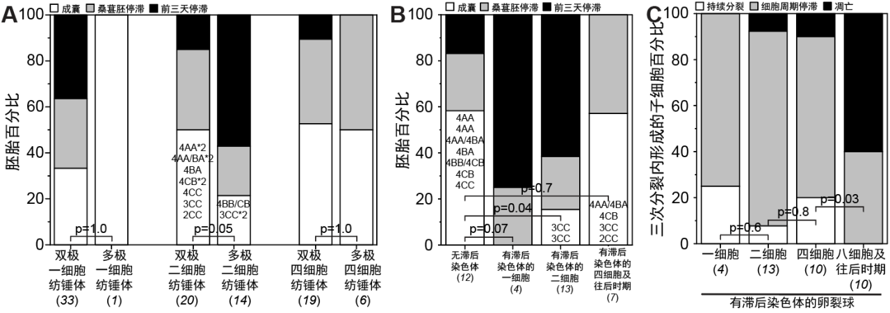 清华大学生物医学交叉研究院苏俊团队合作揭示人类试管胚胎早期发育停滞的两大原因