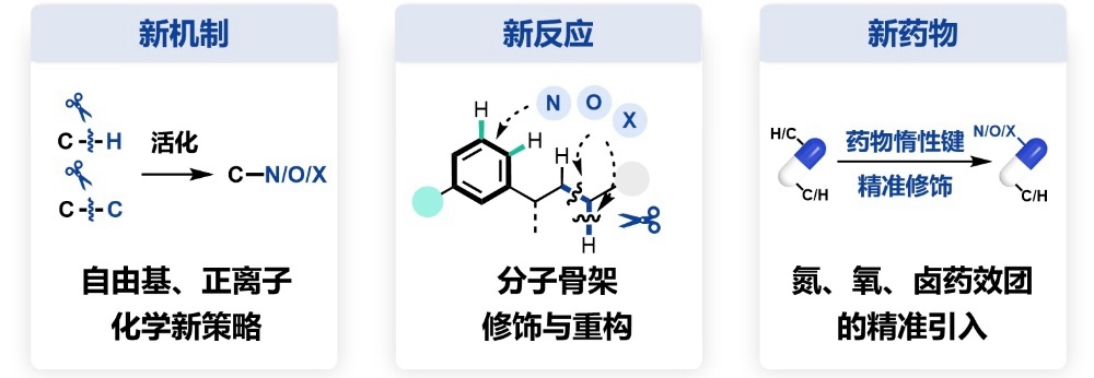 北京大学北京大学12项成果荣获2025年度国家科学技术奖