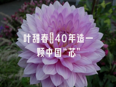 叶甜春：40年造一颗中国“芯”